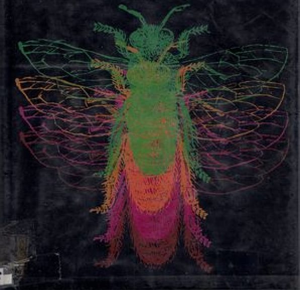 the hive & the queen
