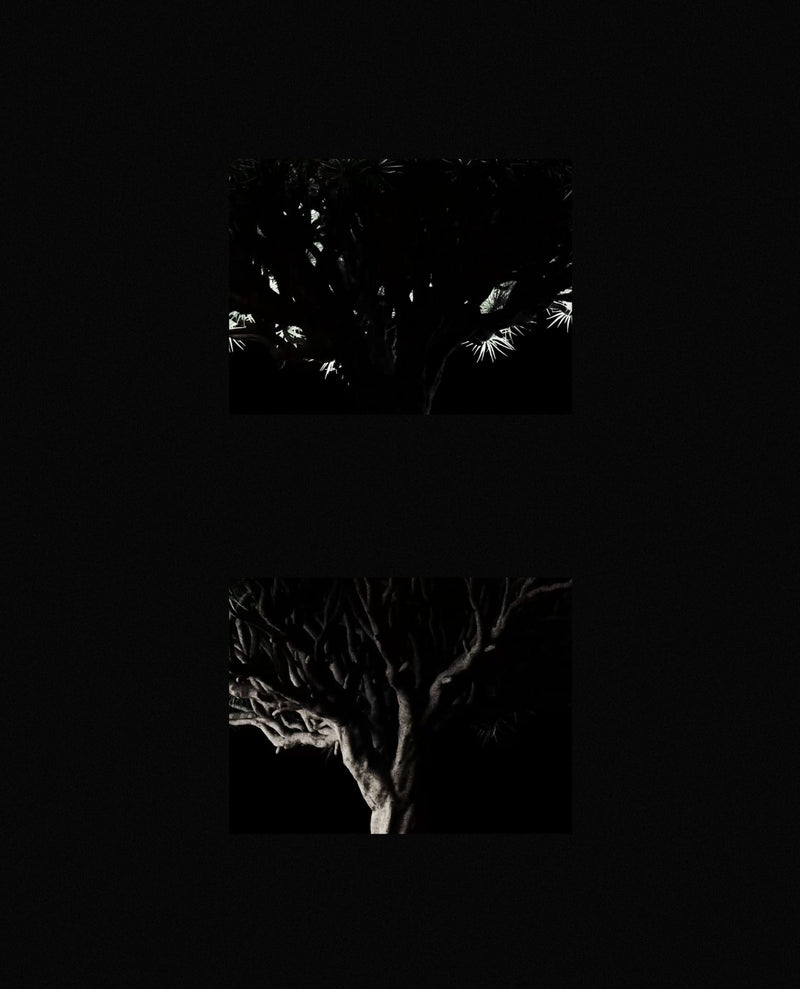frame-52.png