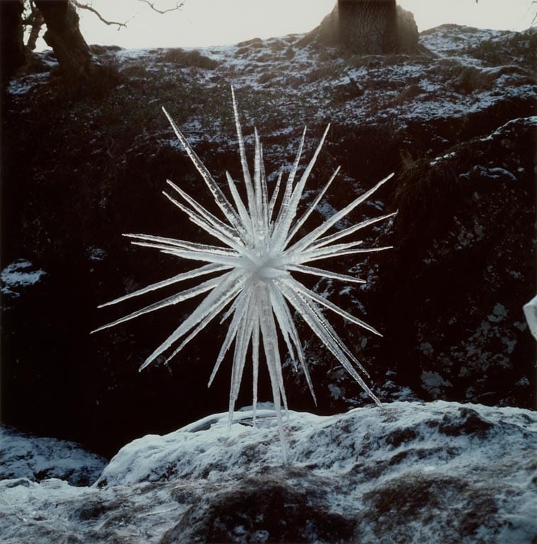 andy goldsworthy