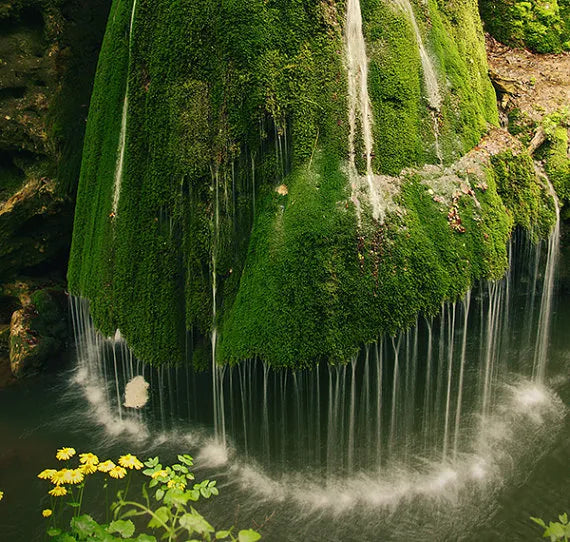 Bigăr waterfall, Romania.