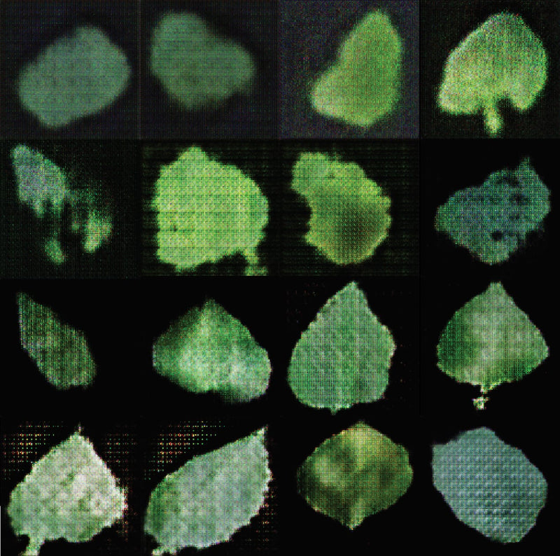 Faux Foliage by Aarati Akkapeddi