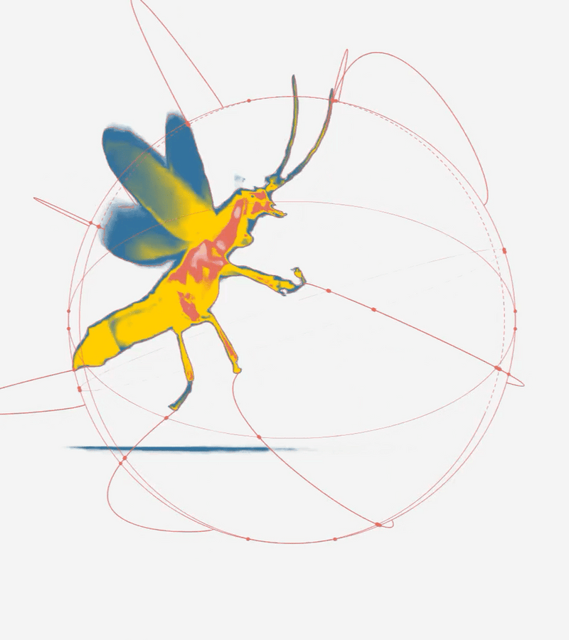 02.gif