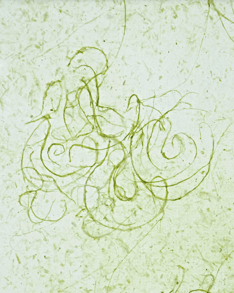 Dog-Strangling Vine Script - Emi Takahashi (2025)