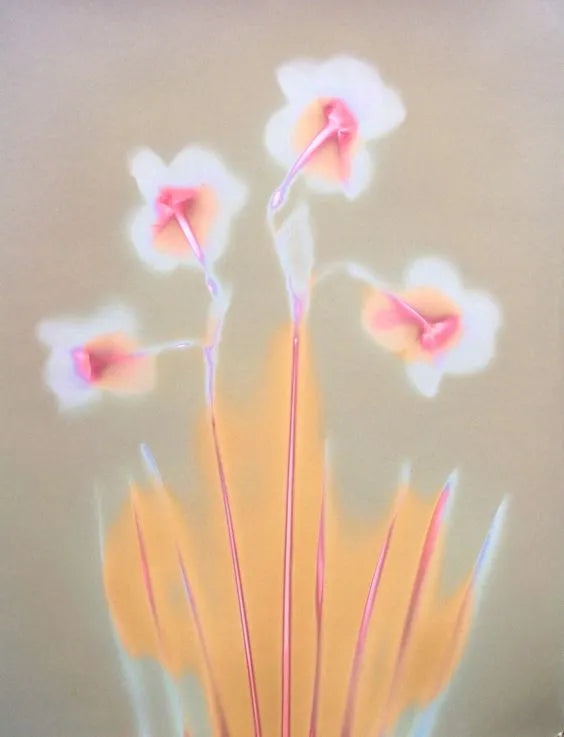 Lumen Print 1625 Daffodils by John Fobes